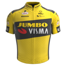 Jumbo - Visma Development Team 2020 shirt