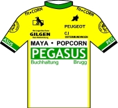 Pegasus 1990 shirt