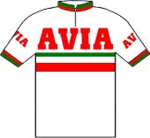 Avia - Groene Leeuw 1978 shirt