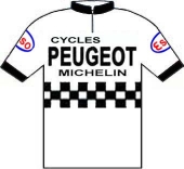 Peugeot - Esso - Michelin 1978 shirt