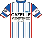 Gazelle - Vredestein 1985 shirt