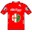 Alfa Romeo - De Rosa 1985 shirt